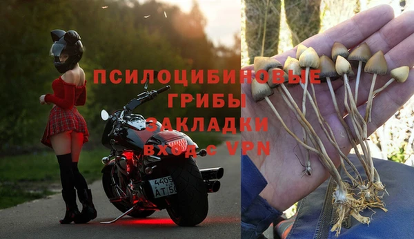 молекула духа Краснотурьинск